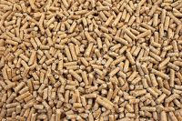 Holzpellets