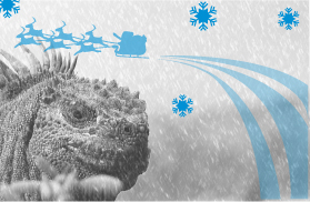 tl_files/leguan/news/weihnachtsgruss_teaser_2012.jpg